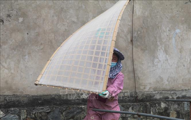 Trong ảnh: Người dân ở Phia Đén phơi miến dưới nắng trên độ cao gần 2000 mét so với mực nước biển. Ảnh: Chu Hiệu-TTXVN