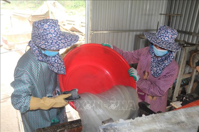 Trong ảnh: Bột dong chín tiếp tục được đưa vào máy ép thành sợi miến dai ngon, thơm mềm. Ảnh: Chu Hiệu-TTXVN