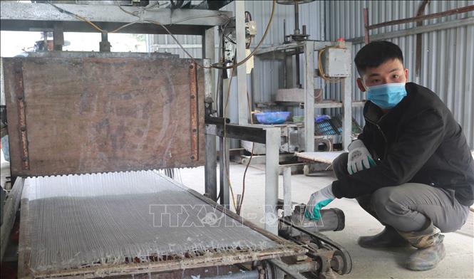 Trong ảnh: Bột dong chín tiếp tục được đưa vào máy ép để ép thành sợi miến dai ngon, thơm mềm. Ảnh: Chu Hiệu-TTXVN