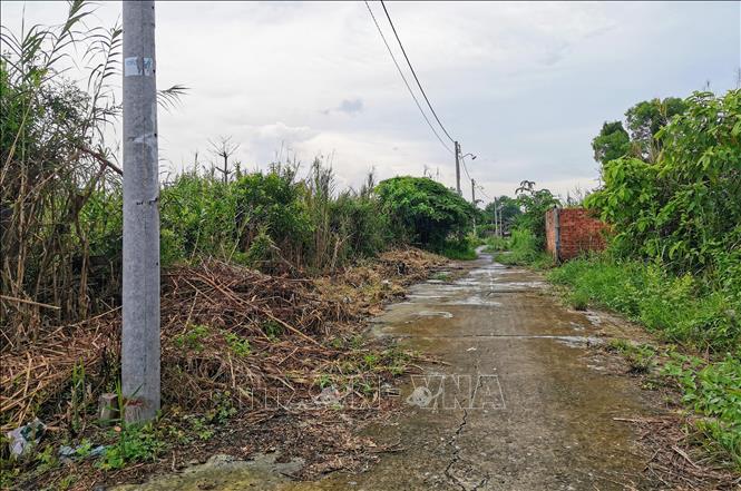 Trong ảnh: Một thửa đất nông nghiệp được phân lô bán nền ở quận Ninh Kiều. Ảnh: Thanh Liêm - TTXVN