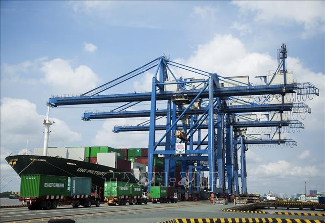 Trong ảnh: Cảng container chuyên dụng tại Cát Lái. Ảnh: Hồng Đạt - TTXVN
