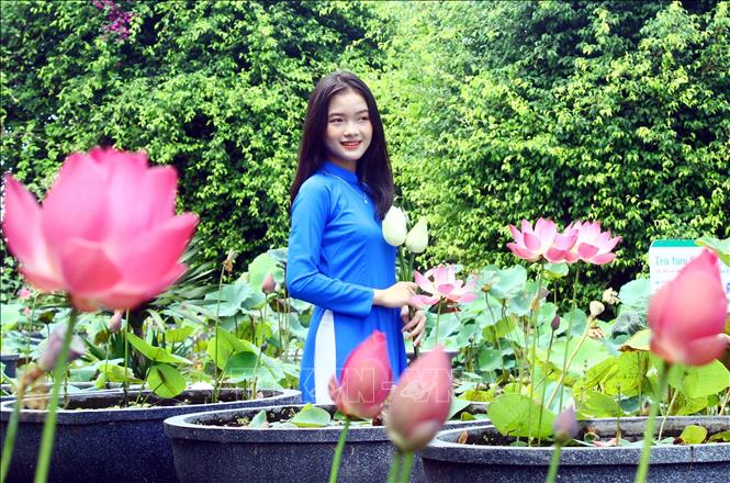 Trong ảnh: Du khách chụp ảnh với những đóa hoa sen. Ảnh: Tá Chuyên - TTXVN