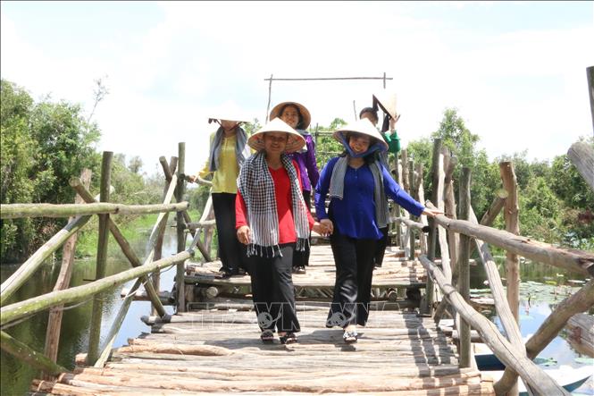Trong ảnh: Du khách lưu lại kỷ niệm trên cầu cây được bắc bằng những cây tràm. Ảnh: Thanh Bình-TTXVN
