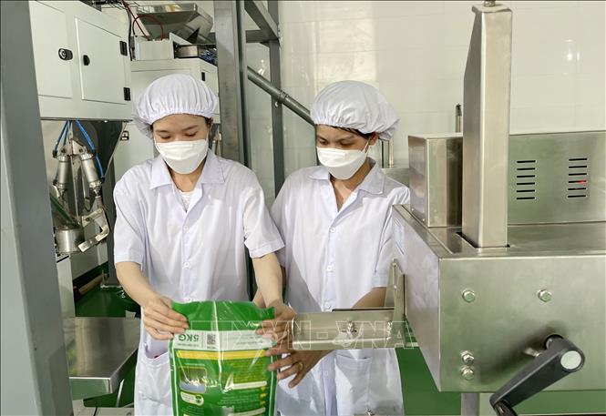 Trong ảnh: Nhà máy chế biến gạo hữu cơ của Công ty Thương mại Quảng Trị. Ảnh: Thanh Thủy-TTXVN