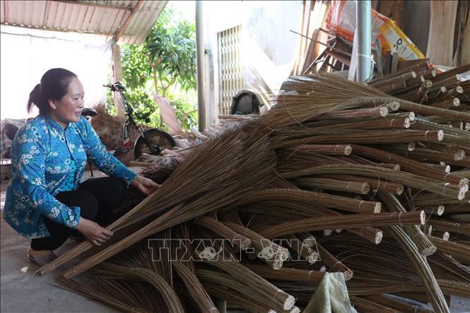 Trong ảnh: Những năm gần đây, nghề bó chổi cọng dừa của người dân ở xã Mỹ An, huyện Thạnh Phú, tỉnh Bến Tre ngày càng phát triển. Ảnh: Chương Đài - TTXVN