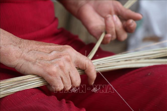 Trong ảnh: Người thợ bó chổi dùng dây cước trắng buộc chặt (theo cách bện nong mốt) để cọng chổi không dễ rơi, rớt khi quét. Ảnh: Chương Đài - TTXVN