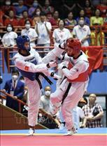 SEA Games 31: VN taekwondo grabs more combat gold