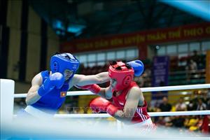 SEA Games 31: Vietnam pockets more golds in Boxing
