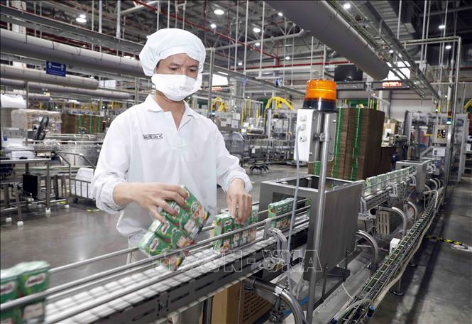 Kiểm tra sản phẩm sữa Milo tại nhà máy. Ảnh : Trần Việt - TTXVN
