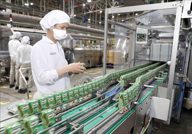Kiểm tra sản phẩm sữa Milo tại nhà máy. Ảnh : Trần Việt - TTXVN