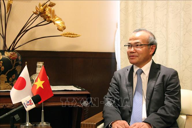 Trong ảnh: Đại sứ Việt Nam tại Nhật Bản Vũ Hồng Nam trả lời phỏng vấn TTXVN. Ảnh: Đào Thanh Tùng-PV TTXVN tại Nhật Bản