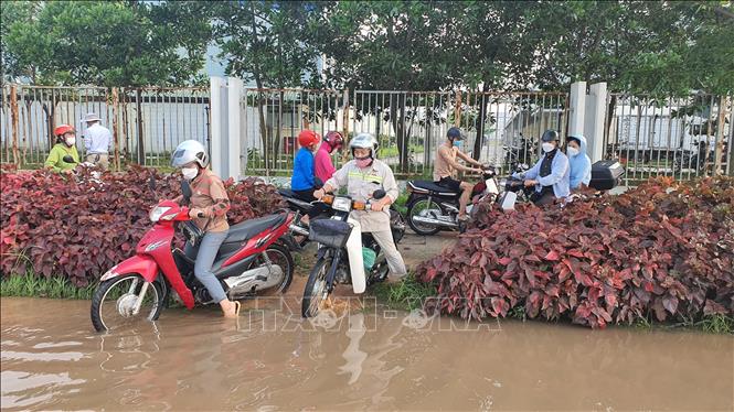 Trong ảnh: Đường giao thông trong khu công nghiệp huyện Bình Xuyên bị mưa lũ gây ngập. Ảnh: Nguyễn Trọng Lịch- TTXVN