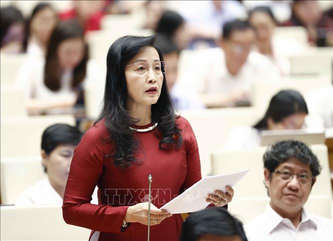 Member of the National Assembly of Bac Lieu province Tran Thi Thu Dong speaks at the debate. VNA Photo: Doãn Tấn 