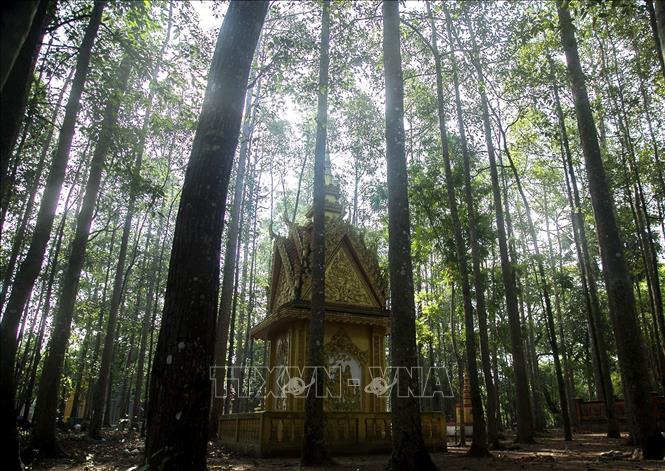 Trong ảnh: Tháp cốt trong khuôn viên chùa Dơi là nơi chứa di hài các sư trụ trì chùa. Ảnh: Hồng Đạt - TTXVN
