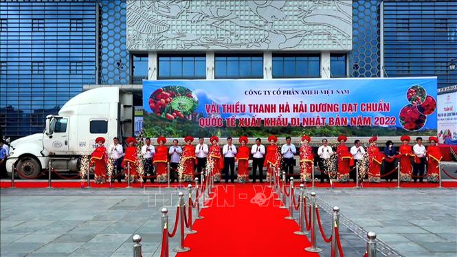 Lễ cắt băng xuất khẩu lô vải thiều Thanh Hà đạt chuẩn quốc tế sang Nhật Bản năm 2022 tại buổi lễ. Ảnh: TTXVN phát