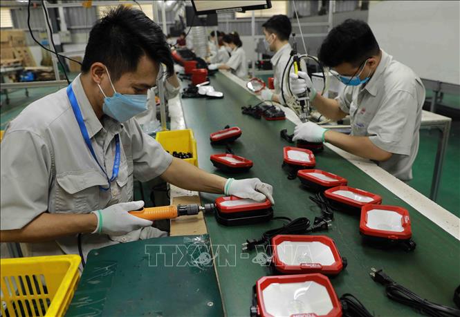 Dây chuyền lắp ráp đèn Led  tại nhà máy của Công ty Cổ phần Rạng Đông. Ảnh: Vũ Sinh - TTXVN