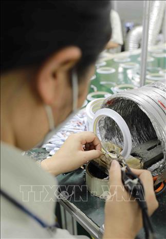 Sản xuất đèn Led  tại nhà máy của Công ty Cổ phần Rạng Đông. Ảnh: Vũ Sinh - TTXVN
