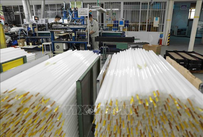 Dây chuyền sản xuất đèn Led  tại nhà máy của Công ty Cổ phần Rạng Đông. Ảnh: Vũ Sinh - TTXVN