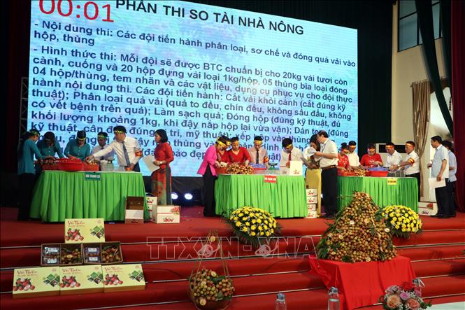 Trong ảnh: Phần thi so tài nhà nông của các đội. Ảnh: Mạnh Tú - TTXVN