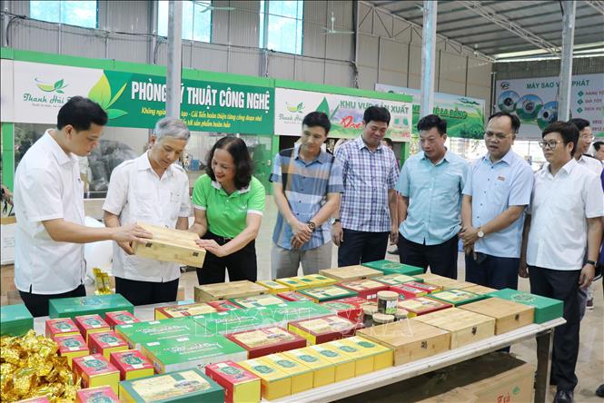 Trong ảnh: Bà Nguyễn Thị Hải (áo xanh), Giám đốc HTX chè La Bằng giới thiệu sản phẩm chè cho khách tham quan. Ảnh: Hoàng Nguyên - TTXVN