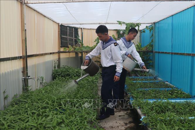 Biển đảo Việt Nam: Xanh mát những vườn rau trên quần đảo Trường Sa ...