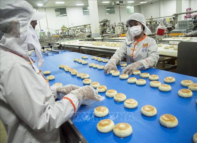 Kiểm định sản phẩm bánh Pía trước khi đóng gói. Ảnh: Hồng Đạt - TTXVN
