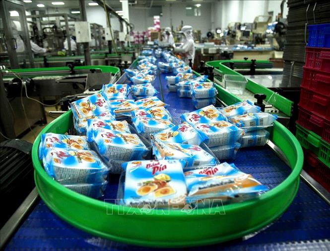 Sản phẩm bánh Pía được bọc riêng từng gói trước khi đóng thùng. Ảnh: Hồng Đạt - TTXVN
