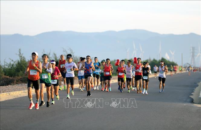 Các vận động viên nam chạy cử ly 42km Giải chạy VnExpress Marathon Quy Nhơn 2022. Ảnh: Nguyên Linh-TTXVN
