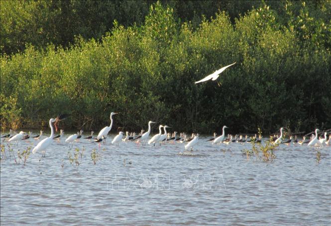 Dam Nai is one of the twelve best known lagoons in south central Vietnam. VNA Photo: Nguyễn Thành
