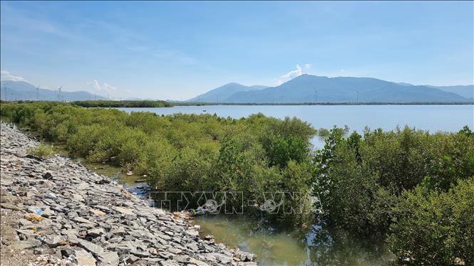 Dam Nai is one of the twelve best known lagoons in south central Vietnam. VNA Photo: Nguyễn Thành