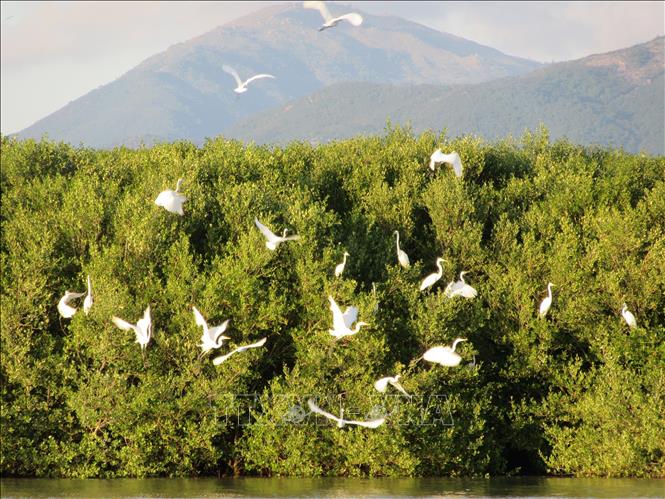 Dam Nai is one of the twelve best known lagoons in south central Vietnam. VNA Photo: Nguyễn Thành
