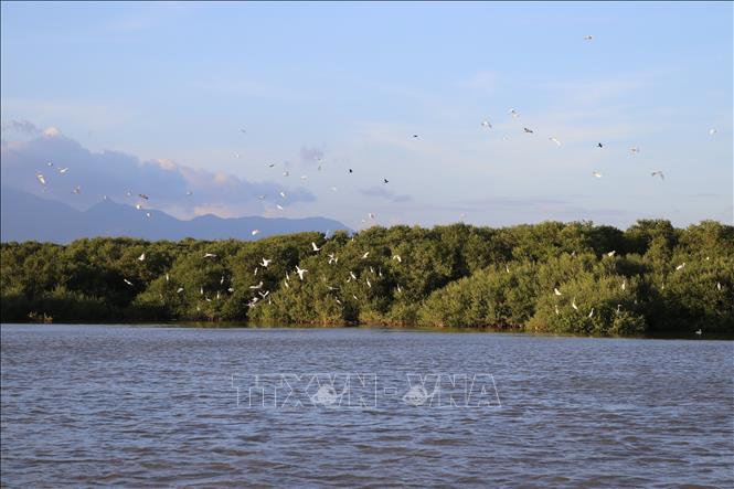 Dam Nai is one of the twelve best known lagoons in south central Vietnam. VNA Photo: Nguyễn Thành
