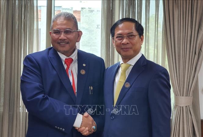 Trong ảnh: Bộ trưởng Ngoại giao Việt Nam Bùi Thanh Sơn gặp Bộ trưởng (thứ hai) Bộ Ngoại giao Brunei Dato Erywan Pehin Yusof. Ảnh: Huy Lê - PV TTXVN tại Ấn Độ