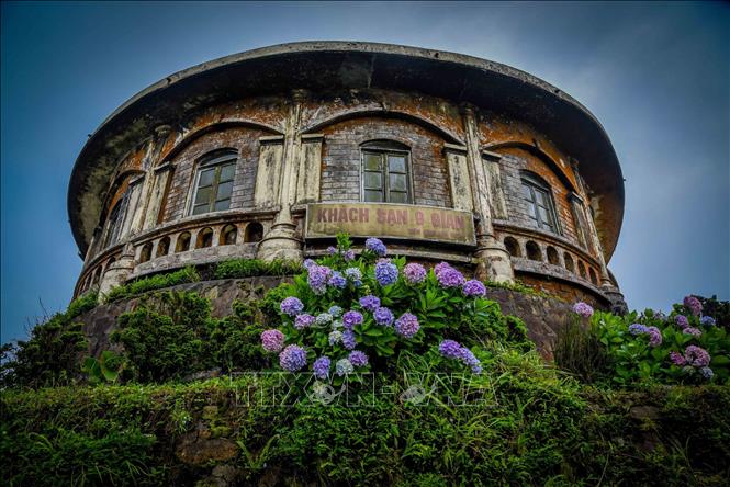 Vibrant hydrangea blossoms bloom against the antique architecture on Mau Son Mountain. VNA Photo: Anh Tuấn