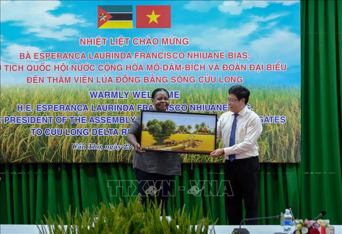 Tiến sỹ Trần Ngọc Thạch, Viện trưởng Viện Lúa Đồng bằng sông Cửu Long tặng bức tranh cho Chủ tịch Quốc hội Cộng hòa Mozambique Esperanca Laurinda Francisco Nhiuane Bias. Ảnh: Thanh Liêm - TTXVN