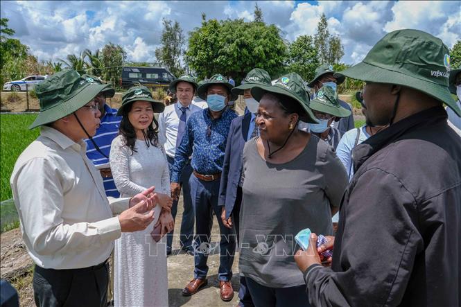 Mozambican guests visit the institute's experimental rice field in Thoi Lai district. VNA Photo: Thanh Liêm 