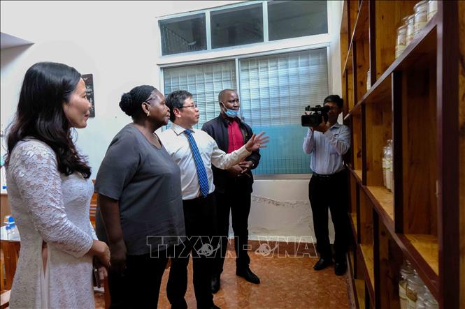 Mozambican guests are interested in rice varieties produced by the Institute. VNA Photo: Thanh Liêm 