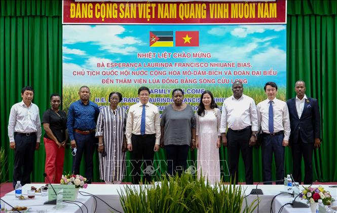 Mozambican guests and CCRRI leaders pose for a group photo. VNA Photo: Thanh Liêm 
