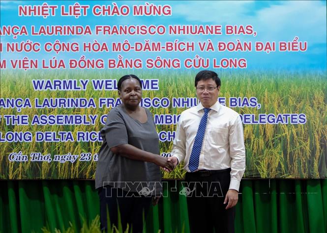 Mozambican Assembly President  Esperanca Laurinda Francisco Nhiuane Bias and CCRRI head Tran Ngoc Thach. VNA Photo: Thanh Liêm 