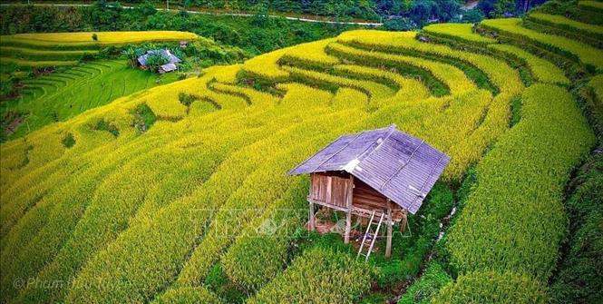 Trong ảnh: Ruộng bậc thang ở xã Hưng Đạo, huyện Bảo Lạc đẹp như một bức tranh. Ảnh: TTXVN phát
