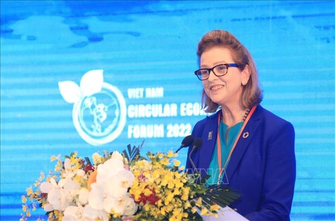 UNDP Resident Representative for Vietnam Caitlin Wiesen speaks at the event. VNA Photo: Tuấn Anh