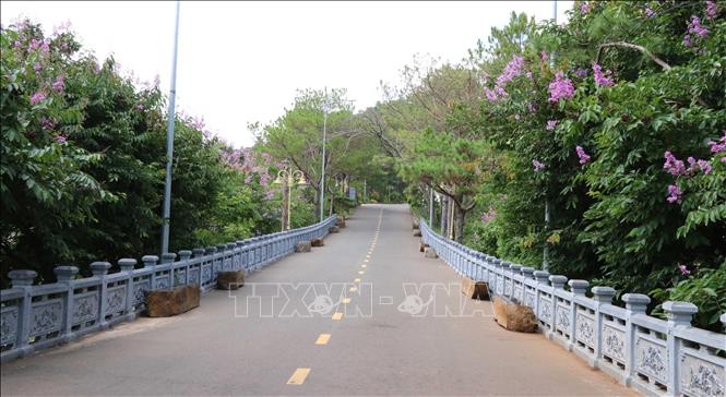 Trong ảnh: Đường dẫn đến khu du lịch Biển Hồ. Ảnh: Hồng Điệp - TTXVN