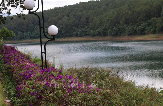 Trong ảnh: Cảnh quan ven hồ được tạo điểm nhấn với các loài hoa rực rỡ. Ảnh: Hồng Điệp - TTXVN