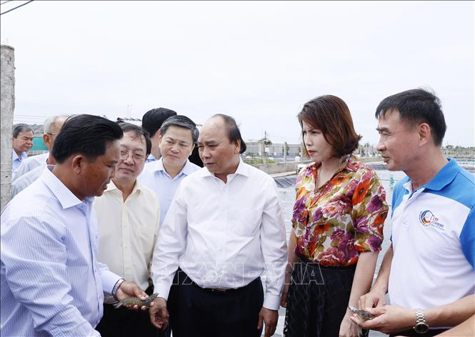Chủ tịch nước Nguyễn Xuân Phúc thăm mô hình nuôi tôm công nghệ cao – bền vững Bảy An 3. Ảnh: Thống Nhất – TTXVN