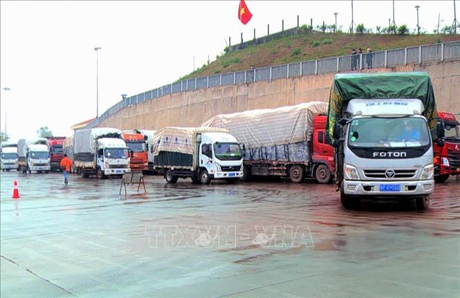 Trong ảnh: Hàng hóa được xuất khẩu qua cửa khẩu Móng Cái. Ảnh: TTXVN phát