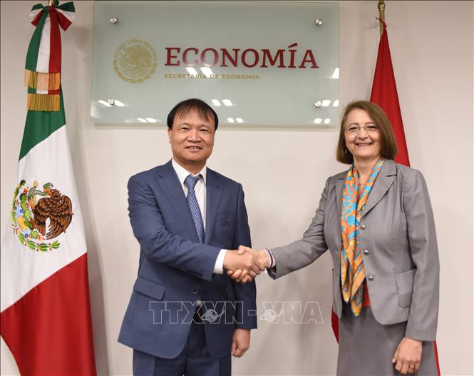 Deputy Minister of Industry and Trade Do Thang Hai meets Undersecretary for Foreign Trade in Mexico's Secretariat of Economy Luz Maria de la Mora. VNA Photo: Việt Hùng