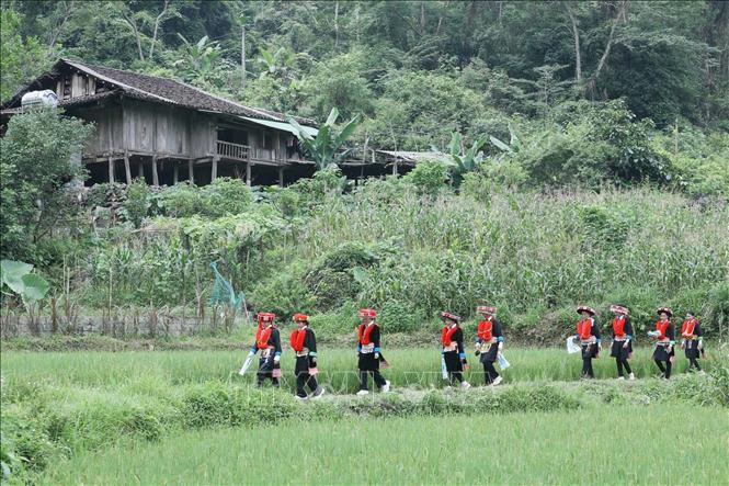 Trong ảnh: Thôn Lũng Slàng, xã Tri Phương, huyện Tràng Định, tỉnh Lạng Sơn với 100% người dân tộc Dao sinh sống. Ảnh: Anh Tuấn – TTXVN