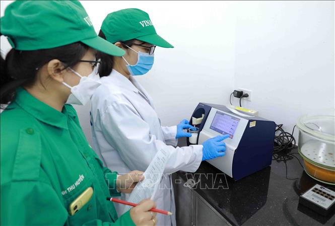 Kiểm tra chất lượng sữa tươi trước khi đưa về nhà máy để chế biến tại trang trại chăn nuôi của Công ty TNHH MTV Bò sữa Thống Nhất-Thanh Hoá (Công ty CP sữa Việt Nam) ở thị trấn Thống Nhất, huyện Yên Định. Ảnh: Vũ Sinh - TTXVN