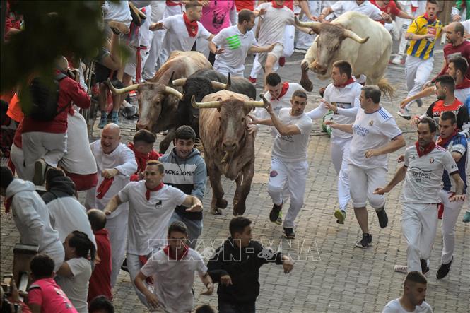 Trong ảnh: Những con bò tót chạy đua cùng dòng người tham gia lễ hội nổi tiếng San Fermín trên quãng đường tới trường đấu bò ở thành phố Pamplona, Tây Ban Nha ngày 6/7/2022. Ảnh: AFP/TTXVN