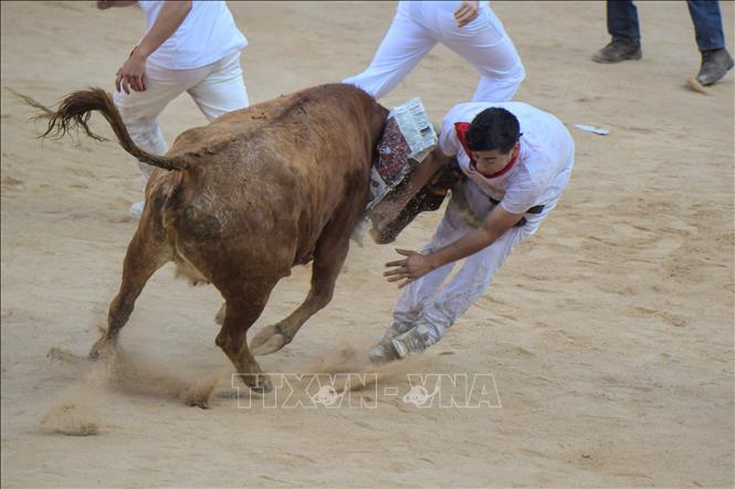 Trong ảnh: Đấu sĩ tại lễ hội đua bò tót nổi tiếng San Fermín ở trường đấu thành phố Pamplona, Tây Ban Nha ngày 7/7/2022. Ảnh: AFP/TTXVN